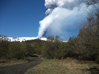 anobello-04032012 089
